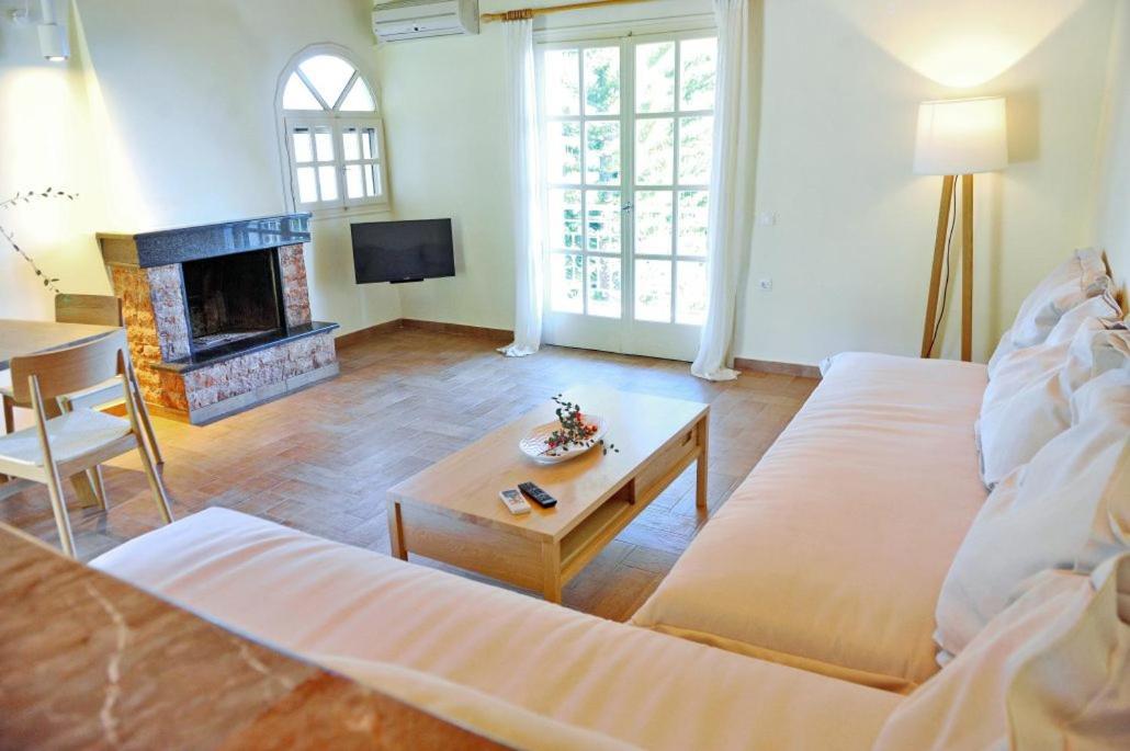 Villa Kastri Apartments Vaszilikí Kültér fotó