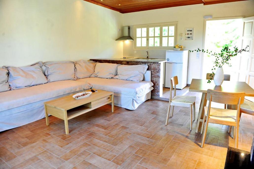 Villa Kastri Apartments Vaszilikí Kültér fotó
